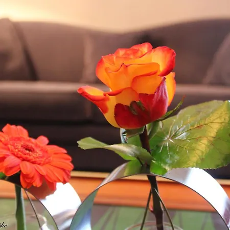 Hotell Majestic Lourdes