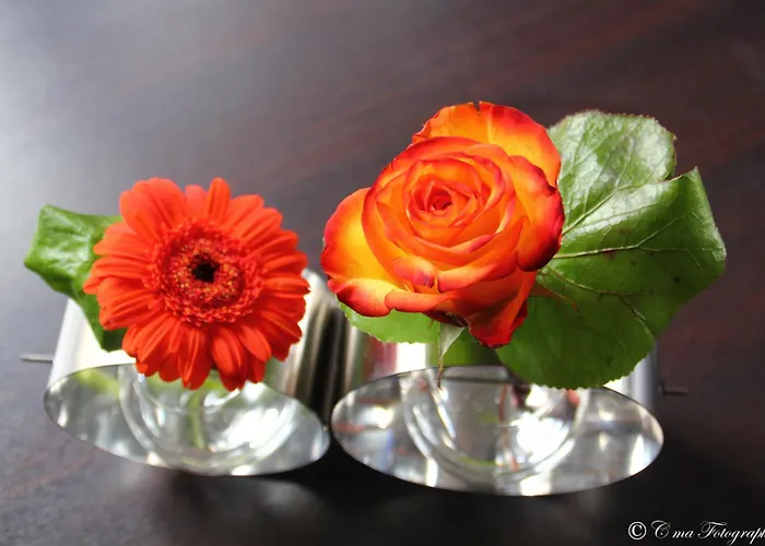 호텔 마제스틱 3*