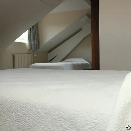 梅杰斯提科酒店 3* 卢德