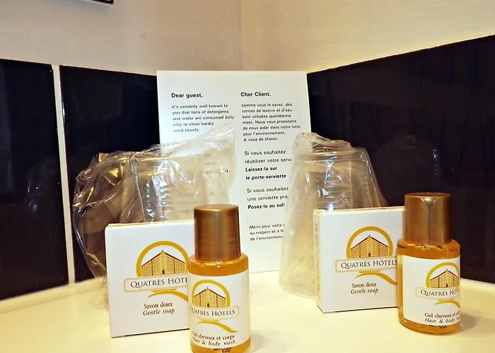 マジェスティック 3* ルルド