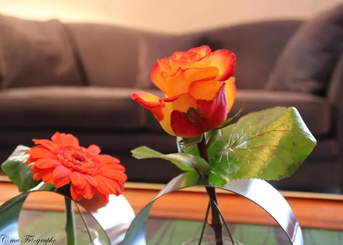 מלון Majestic לורדה